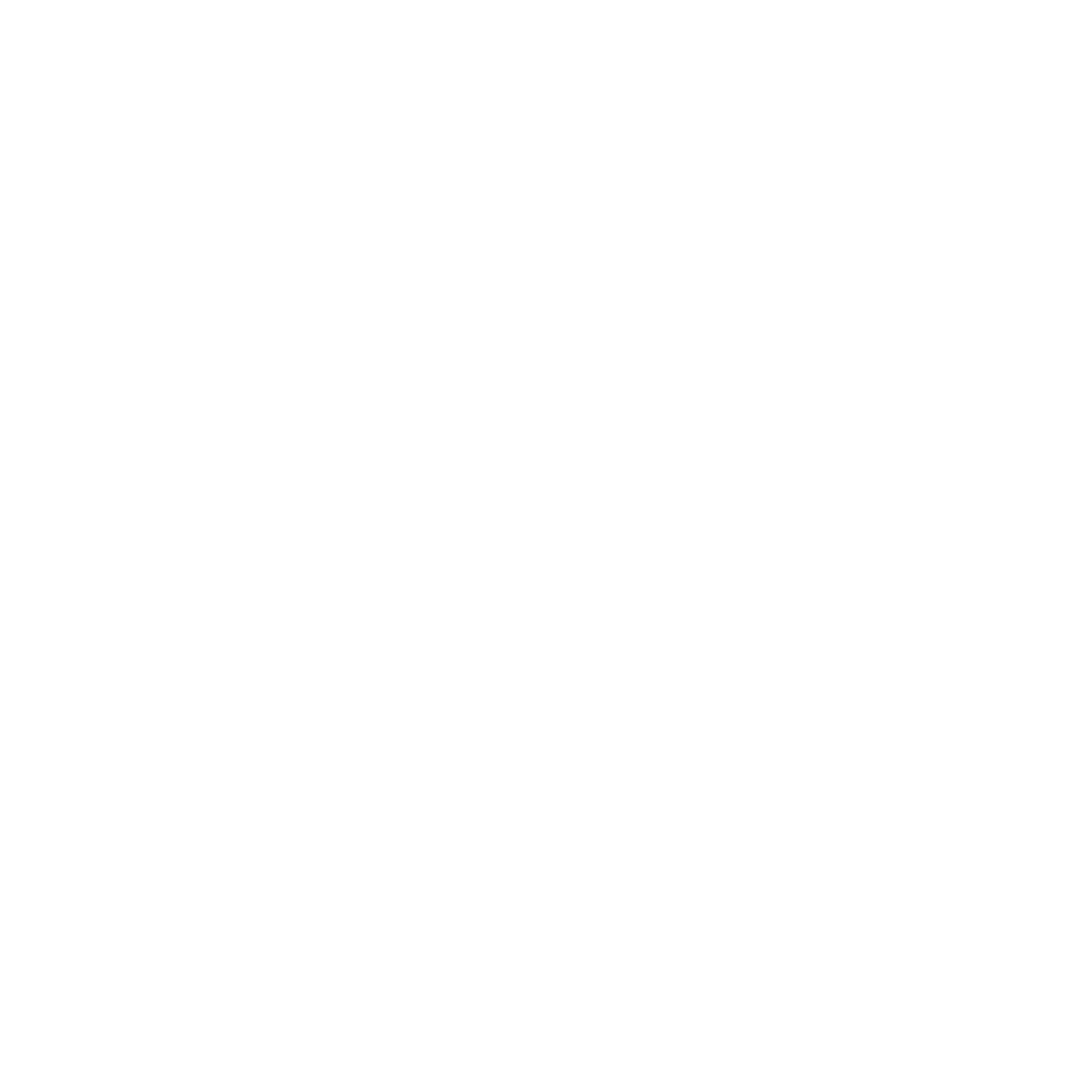 SAVE RIA FORMOSA