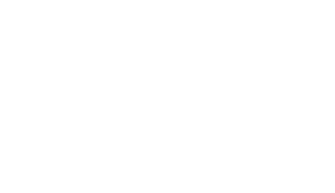 Alenic Guitars